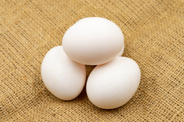 Egg carton on jute fabric. close-up white egg. horizontal view