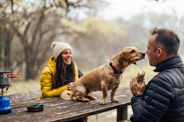 Lovely, small dog, touching he nose of his owner, during a meal.