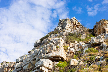 Naklejka premium Rugged mountain landscape with fynbos flora in Cape Town