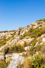 Fototapeta na wymiar Rugged mountain landscape with fynbos flora in Cape Town