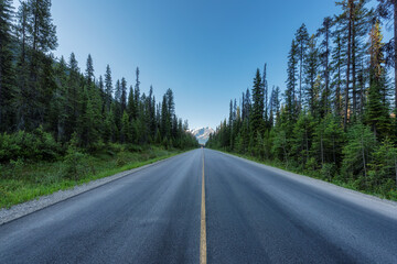 Scenic Highway in forest. Icefields Parkway in Canadian Rockies, between Jasper and Banff, Canada 