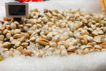 Fresh raw clams on ice at the market
