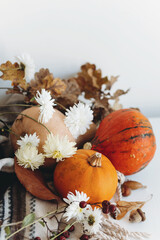 Scandinavian autumn still life vegetarian table with pumpkins and white flowers, Thanksgiving decorations with pumpkins, gourds, and squash