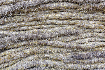 Straw plaited in braids as a decorative element of a garden or backyard