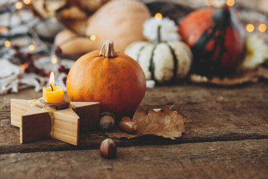 Ripe pumpkins near a burning candle and autumn leaves against a cozy blanket and rustic wooden background with festive lights, Thanksgiving still life backdrop an
