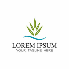 Leaf icon Vector Illustration design Logo template