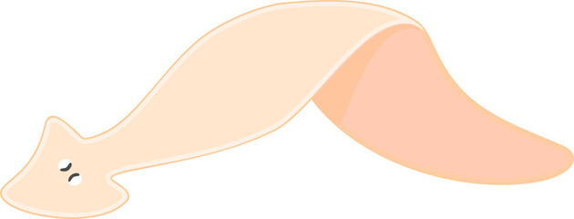 Planaria isolated on white background