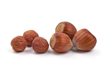 Hazelnut. Fresh organic filbert nut, isolated on white background