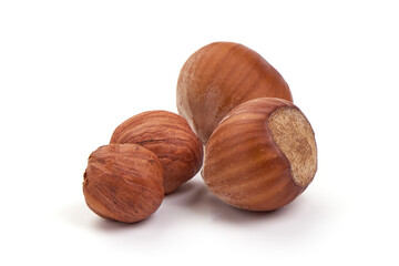 Hazelnut. Fresh organic filbert nut, isolated on white background