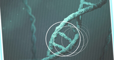 Image of white circles over dna strand spinning