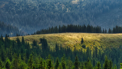 landscape in the mountains