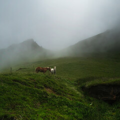 Ariège, pays du silence