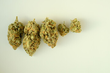 Macro layout of cannabis blooms, close-up. Medicinal CBD buds in row on white paper background. Drying marijuana flowers. Top view, flat lay.