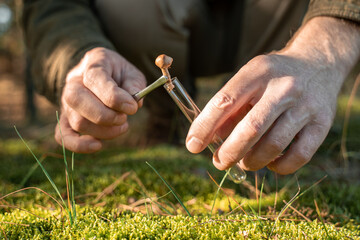 Man collecting mushrooms with the tweezers and putting it into the flask