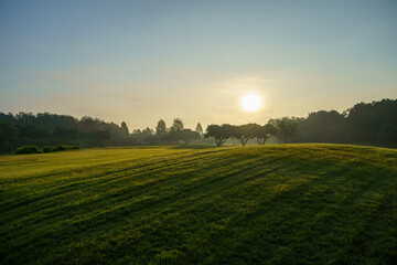 beautiful scenery golf course in the morning sun rising