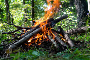Bonfire in a forest area close up