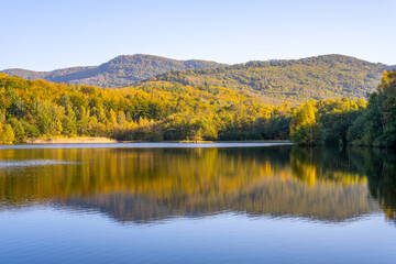 Autumn beech forest reflecter in the water