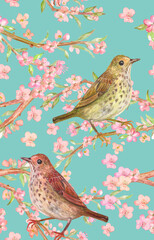 seamless texture with Redwing birds sitting on flowering almond branches. watercolor painting