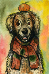 A dog with a pumpkin on a head. Watercolor painting.