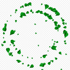 Green Greens Tea Vector Transparent Background