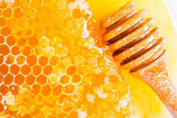 Honey and honeycomb on a white background