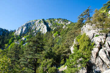 landscape with sky  Linkia way, Turkey