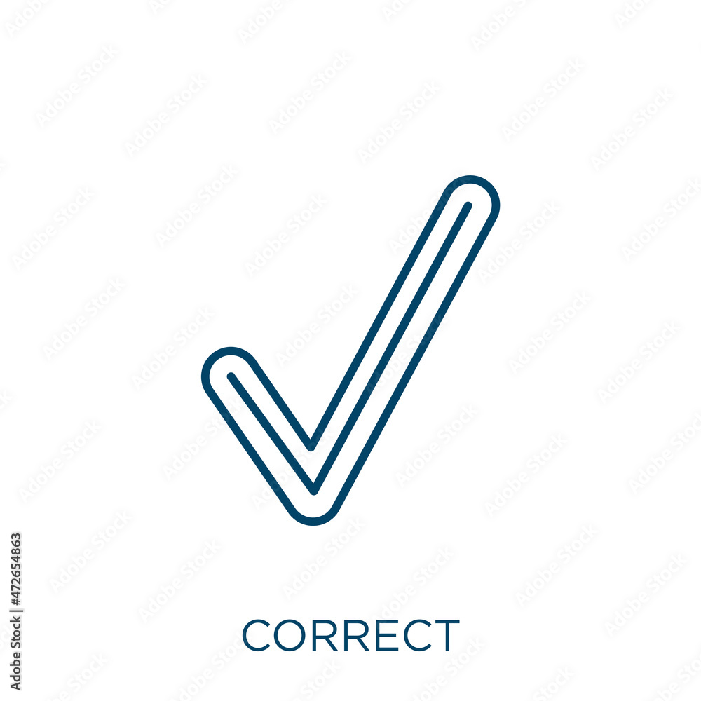 Poster correct icon. thin linear correct outline icon isolated on white background. line vector correct sig