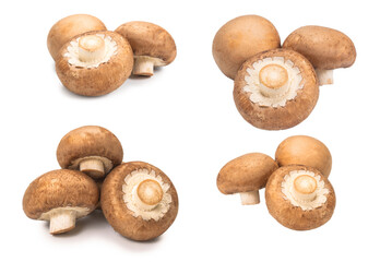 Tasty mushroom isolated on white background.
