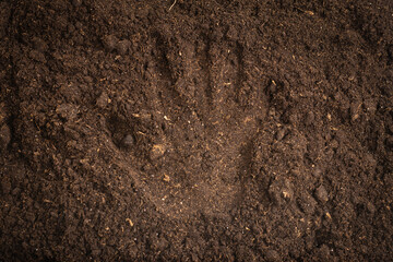 Woman hand trace on a ground.