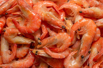 Shrimps background texture. A lot of shrimps. Cooked shrimps.