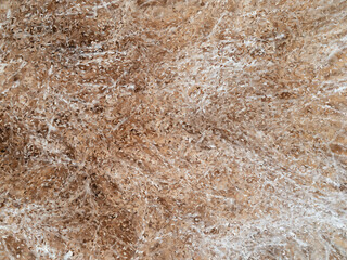 texture of the sand