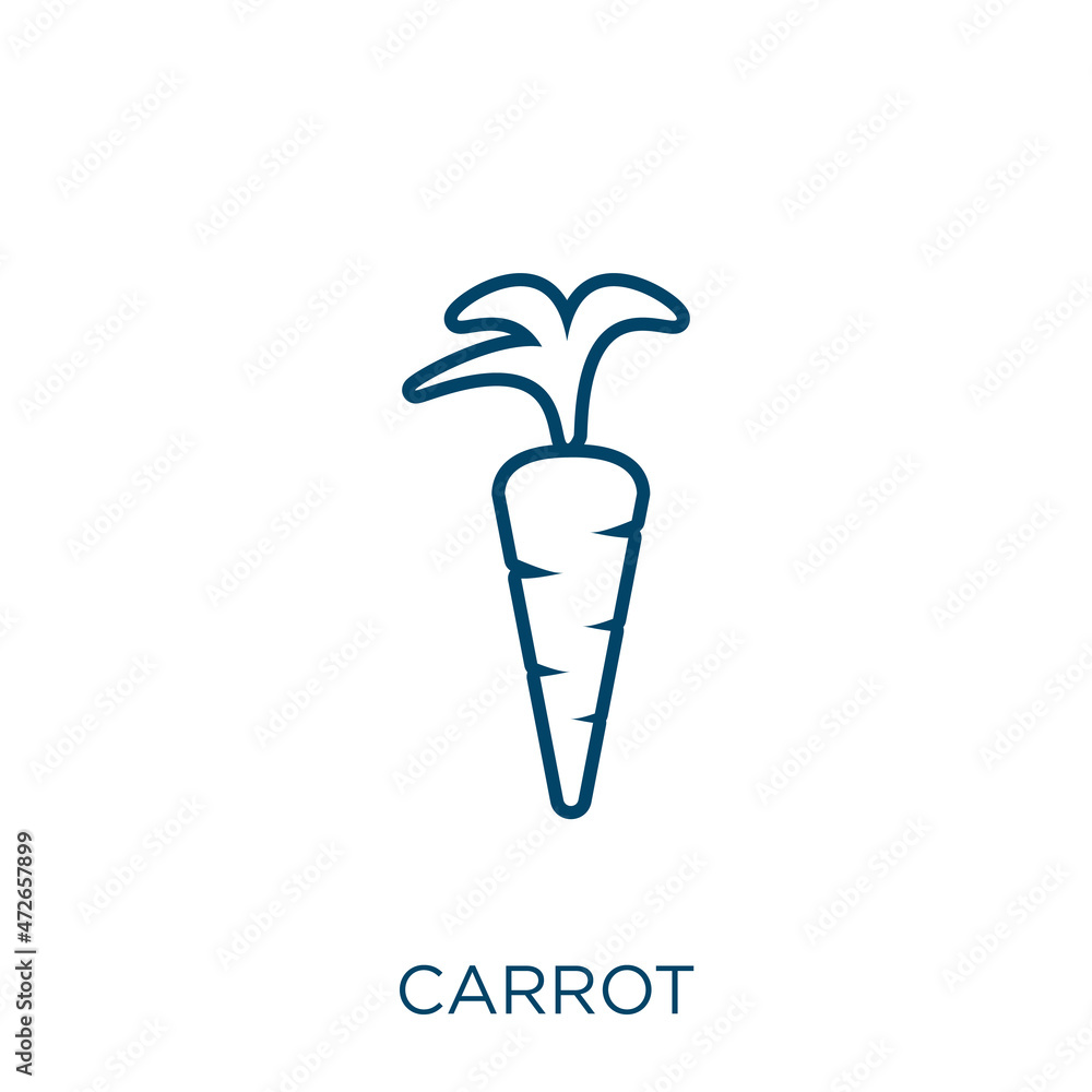 Poster carrot icon. thin linear carrot outline icon isolated on white background. line vector carrot sign, 