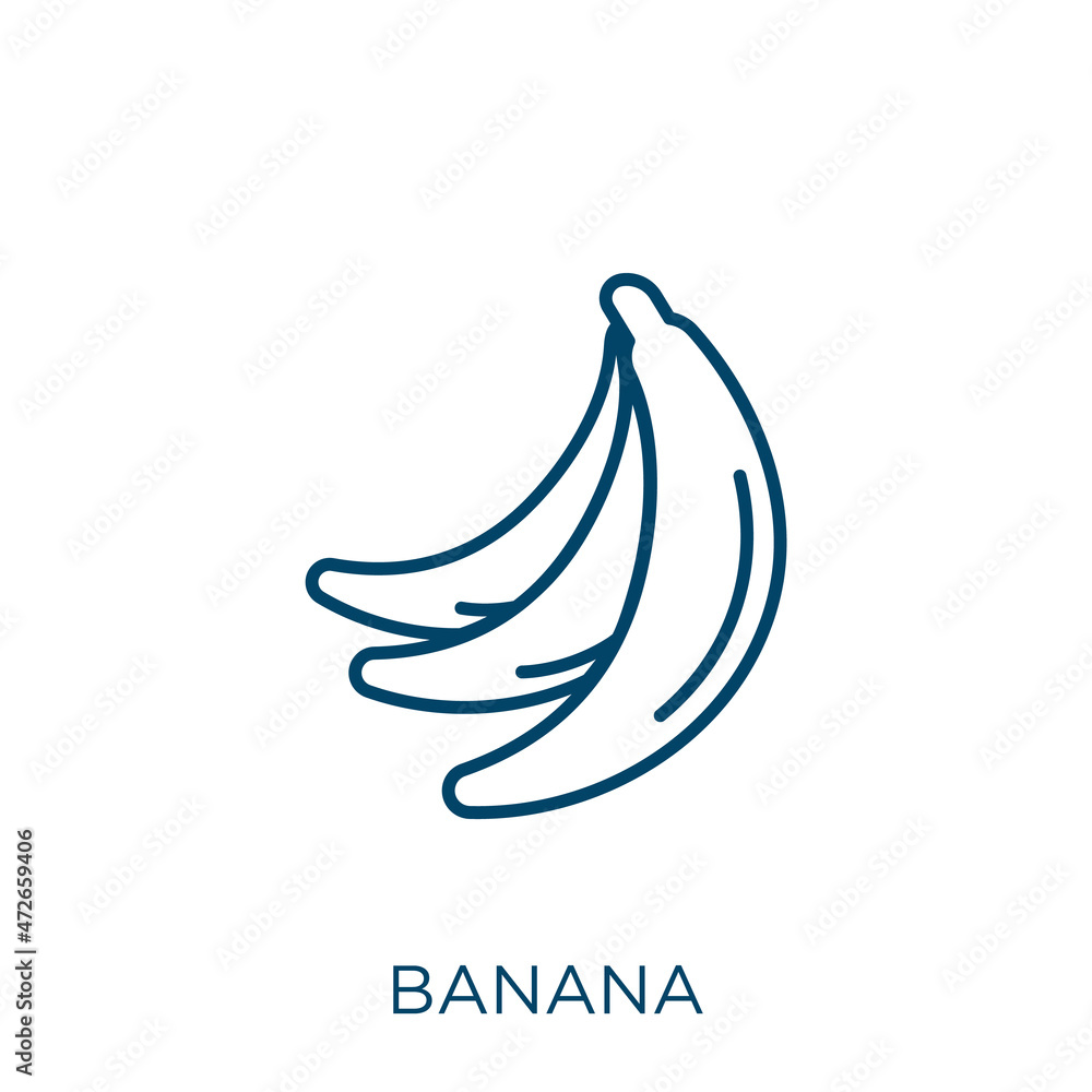 Poster banana icon. thin linear banana outline icon isolated on white background. line vector banana sign, 