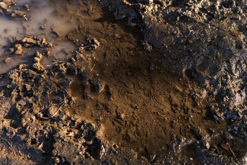 Macro texture of mud and puddles with ground, traces of dirt