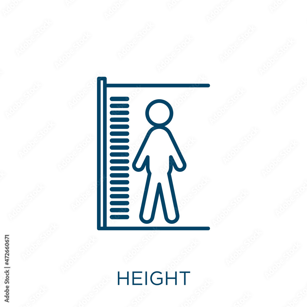 Poster height icon. thin linear height outline icon isolated on white background. line vector height sign, 