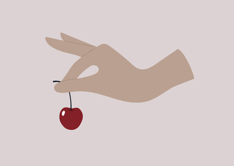 A hand holding a dark red sweet cherry