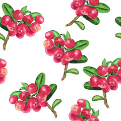 Aquarelle Lingonberry seamless pattern on white background. Watercolor hand drawing illustration. Red berry with green leaves.