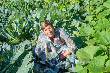 junge Frau erntet Rotkohl