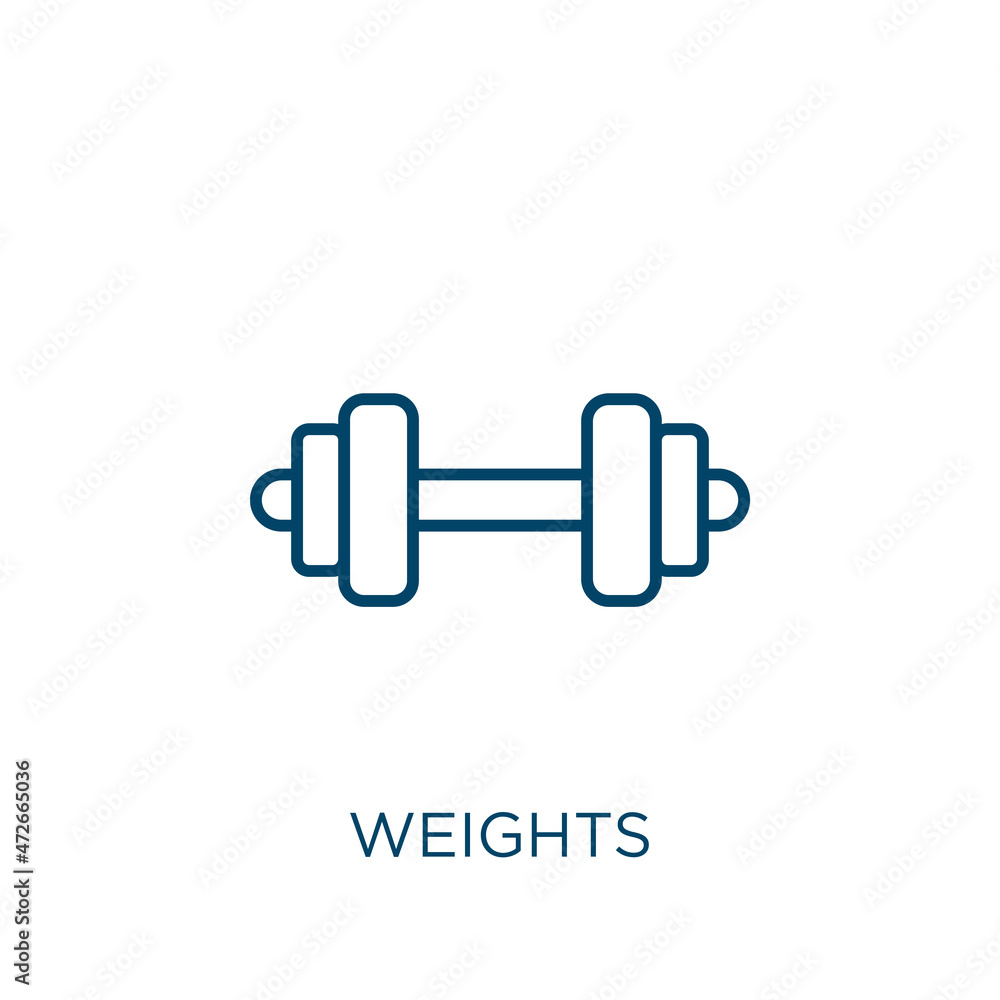 Poster weights icon. thin linear weights outline icon isolated on white background. line vector weights sig
