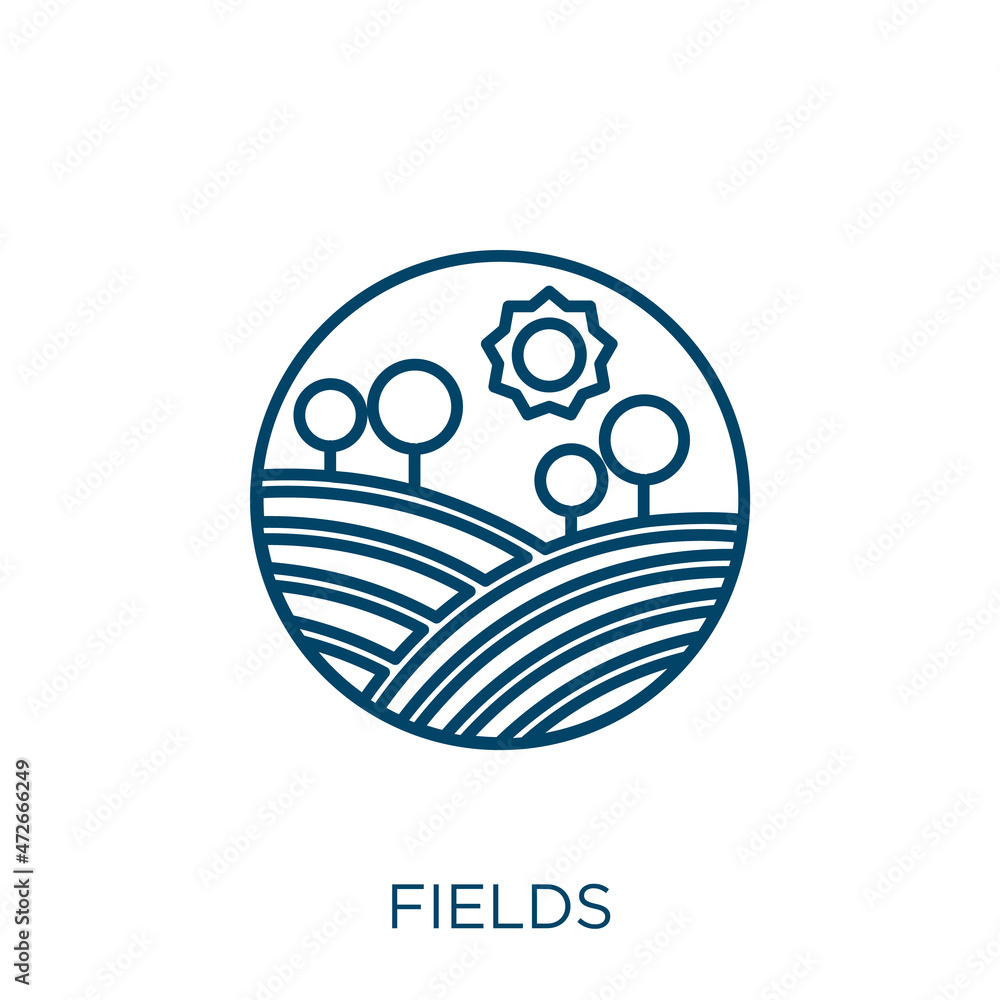 Poster fields icon. thin linear fields outline icon isolated on white background. line vector fields sign, 