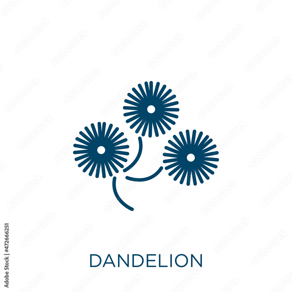 Poster dandelion icon. thin linear dandelion outline icon isolated on white background. line vector dandeli