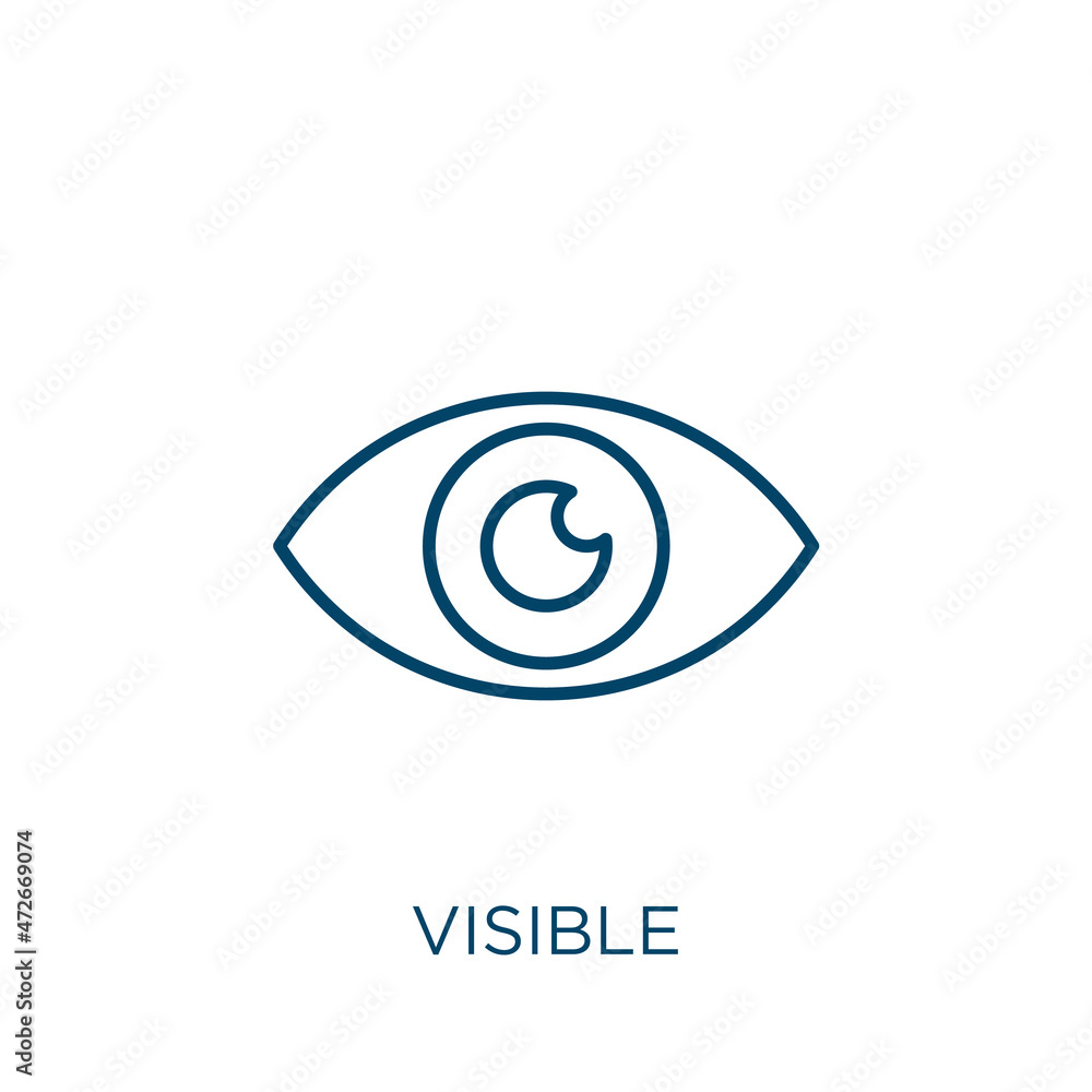 Poster visible icon. thin linear visible outline icon isolated on white background. line vector visible sig