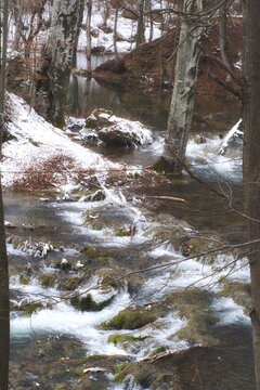 Frozen stream of Grza river and waterfall in the forest / beauty of winter nature of Serbia