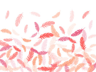 Detailed majestic feather on white design.