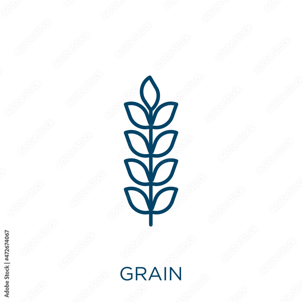 Poster grain icon. thin linear grain outline icon isolated on white background. line vector grain sign, sym