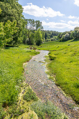 Fototapeta na wymiar A Cotswold stream in summer - The Hilcot Brook, Hilcot, Gloucestershire UK