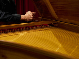 Musician tunes historical harpsichord cembalo with his hands before the concert. View inside the...