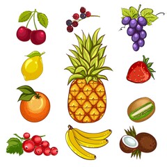 Fruit set pineapple kiwi strawberry isolated on a white background