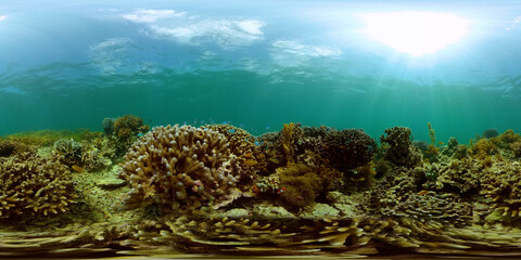 Naklejka na ściany i meble Beautiful underwater landscape with tropical fish and corals. Philippines. 360 panorama VR
