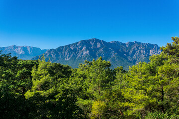 Mediterranean wooded mountain landscape, view of Mount Tahtali (Lycian Olympus)